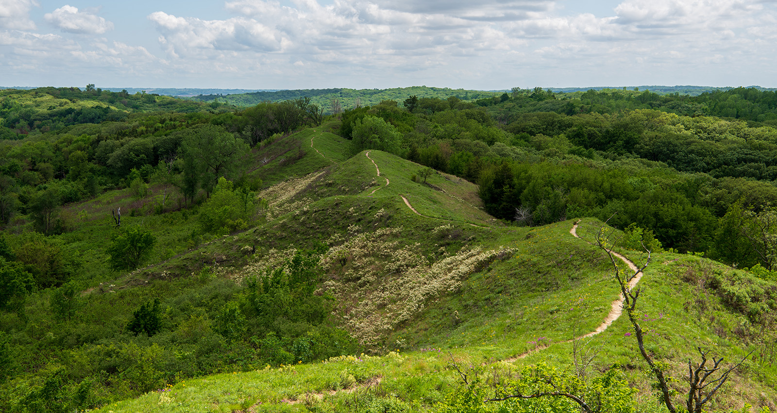 loess hills