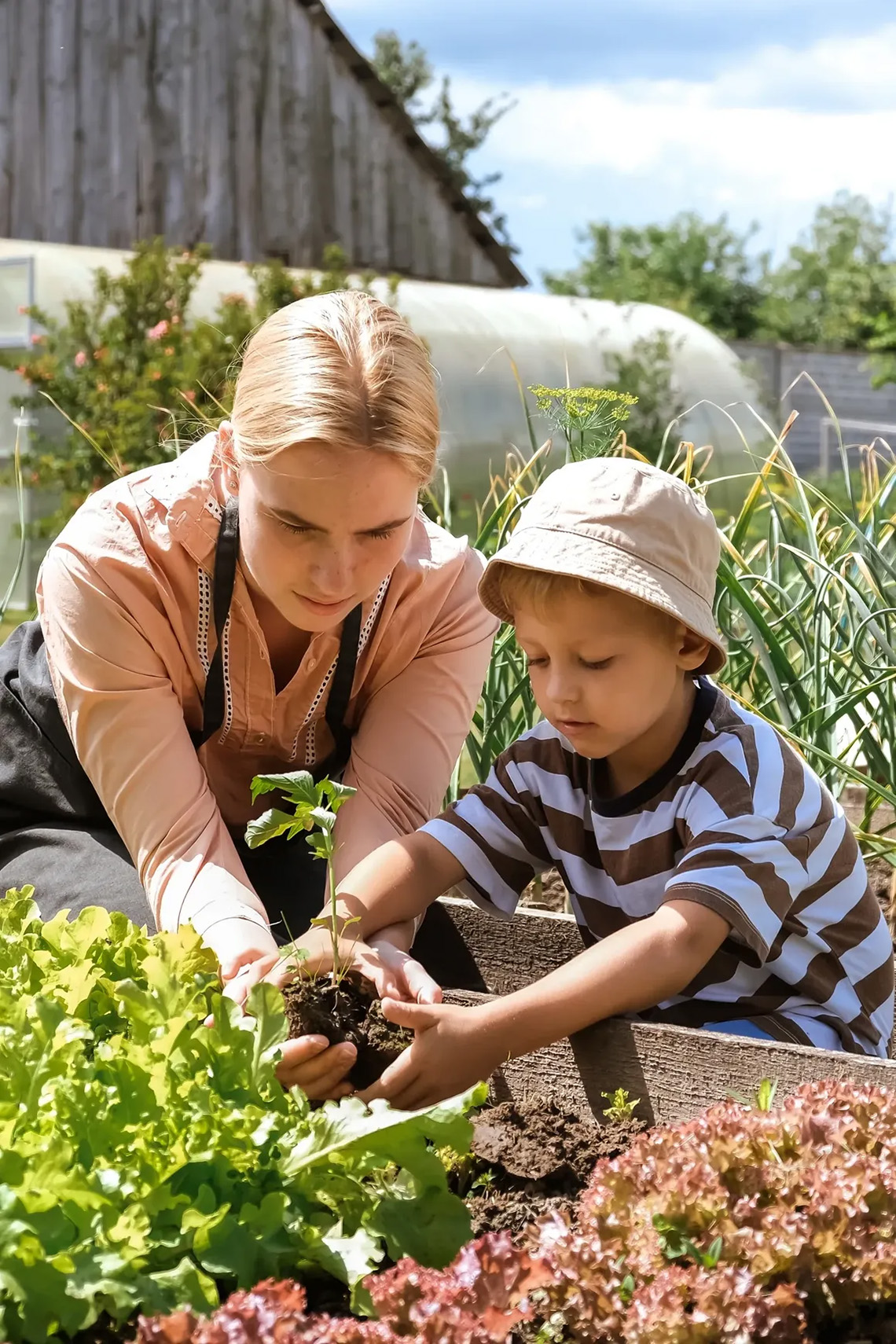 red barn teaching garden